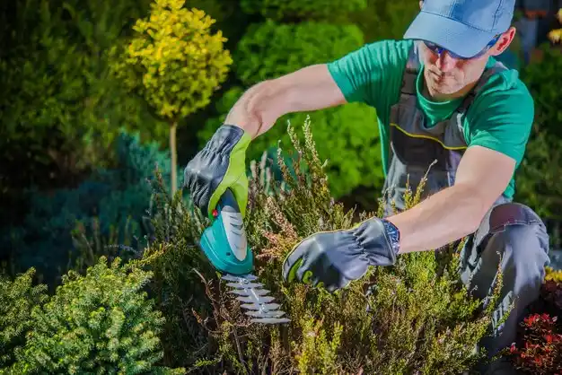 landscaping services Valatie